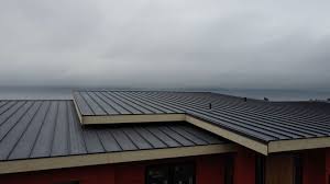 Best Steel Roofing  in Ruston, LA